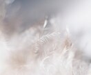 ツインレイ鑑定:運命の絆を読み解き魂を結びつけます 崇高なる波動で叶える、魂結ぶ恋愛霊視 イメージ4