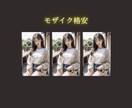 モザイク加工、画像.動画加工致します めんどくさいモザイク加工お助けマン イメージ1