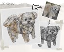 商用ok お写真から墨画/水彩画風の似顔絵描きます 複数人、わんこ・にゃんこ、背景描写も対応可 イメージ1