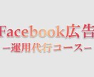 Facebook広告運用を代行します 集客のすべてを任せたい方へ。Facebook広告のプロが代行 イメージ1