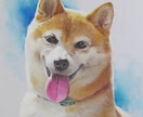 ワンちゃん、ネコちゃんの肖像画をお描きします 愛するワンちゃん、ネコちゃんの肖像画をプロがパステルで イメージ8