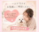 愛犬の食糞、一緒に原因考えます 愛犬の食糞のお悩み、優しくお聞きします イメージ5