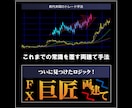 FXの効果的な巨匠 両建て手法をお教えします これまでの常識を覆す両建て手法！ついに見つけたロジック！ イメージ1