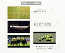 卒団・決起ムービーをスタイリッシュにプロが作ります 少年団・少年少女スポーツ活動・クラブ活動・サークル活動様向け イメージ4