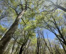 あなたの背中を押させていただきます 一人で悩まず相談してみませんか？　（周易で占います） イメージ2