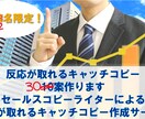 反応が取れるキャッチコピー30案作ります コピーライターによる反応の取れるキャッチコピー作成サービス イメージ1