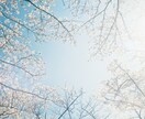 写真を提供いたします ブログやコラム記事などで写真素材が必要な方へ。 イメージ9