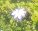 お話を聞いて、お気持ちの整理をお手伝いします 私は敬語だと緊張してしまうので、タメ口で話します(笑) イメージ1