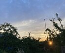 移住の不安、田舎のリアル…ゆるっと相談のります 信州の野山で育った農家の兄ちゃんが、田舎暮らしについて話すよ イメージ7
