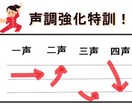 中国語の発音が苦手な方向け！発音矯正致します 中国語の声調を正しく発音するコツじっくり教えます！ イメージ1
