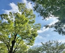ご自身の性格を知りたい方！教えます 自分の性格・性質を知りたい方⭐︎ イメージ4