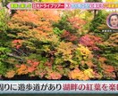ドローンで空撮を行います ・テレビ局へも映像提供中・高品質・安全第一の空撮代行です イメージ2