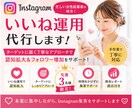 忙しい個人事業主さまへインスタいいね運用代行します ターゲットに届く丁寧ないいね運用を代行します イメージ1