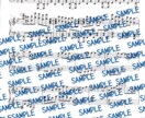 大好きな楽曲の楽譜を作ります その人にあったその人のための楽譜を作ります イメージ2