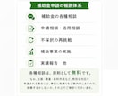 中小企業新事業進出補助金の申請をサポートします 申請相談｜活用相談｜計画書作成・添削｜不採択の再チャレンジ イメージ9