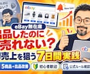 eBay初売上を狙う7日間を伴走します 商品準備不要｜5商品を選び出品・改善まで一緒に実践 イメージ1