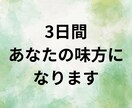3日間あなたの味方になります 海外経験6年の私が心に寄り添い支えます イメージ1