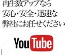 YouTube拡散し再生数を1000回〜増やします 目標値まで再生数を保証いたします。 イメージ2