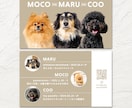 ３頭限定×シンプルが可愛いペット名刺制作します 印刷代込み100枚！オフ会・イベントで大活躍♩ イメージ4