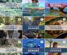 英語でも可能！インスタ運用代行致します お客様のご要望、ご予算にしっかりと寄り添ったご提案を！ イメージ2