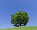 あなたの短所を長所に変えます 短所と長所は表裏一体です、あなたの長所探してみませんか？ イメージ1