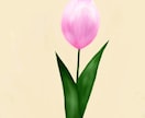 植物 花のイラストを描きます あなたのお気に入りの植物 花のイラストを描きます。 イメージ9