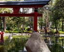 紡ぐ占術【親子関係の修復への近道】占います 親子関係や家族関係が修復したいあなたへ イメージ10