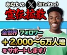 X(Twitter) ＋登録2000人～増やします 貴方のアカウントを宣伝してフォロワーを増やします/振分可 イメージ1