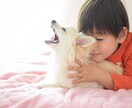 ペットロスの貴方のココロに寄り添います 私も現在進行系のペットロス経験者です。 イメージ4