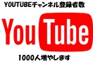 Youtubeチャンネル登録者を１０００増やします 収益化を目指している方におすすめ イメージ1