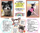 愛犬のお顔イラスト描きます ほっこり優しいタッチの似顔絵アイコンにもぴったり イメージ8