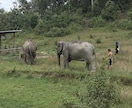 モニター価格！！あなたのタイ旅行を一緒に考えます ＊家族・1人旅・卒業旅行など様々なタイ旅の経験をシェアします イメージ9