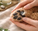 犬猫のためのナチュラルアロマケアをお伝えします お家でできる、やさしいペットケア習慣 イメージ3