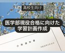 医学部現役合格のための学習計画を立てます 医学部現役合格のための効果的な学習計画を相談しながら立てます イメージ1
