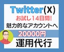 X（Twitter）マーケターが14日間代行します 『なぜ、14日間しか運用代行しないのか？』 イメージ1