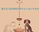 ペットの想いを ペンデュラムで魂にアクセスします 光の導き ✨星の記憶から声をお届け♡愛しいあのコからの贈り物 イメージ4