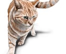 猫ちゃんの似顔絵、デフォルメなど作成します 似顔絵、かわいいイラスト、キャライラスト、人物など描きます イメージ5