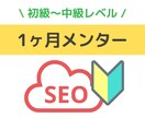 SEOコンサルティングの1ヶ月メンターになります トークルームで無制限に質問可能。SEO歴14年の女性メンター イメージ1