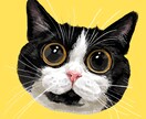 可愛くてオシャレなペットの絵描きます お顔のアップがかわいい似顔絵です! イメージ1