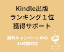 Kindleランキング獲得48時間対応します 無料キャンペーン開始後48時間のランキング獲得代行します イメージ1