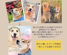 手描きデジタルで世界に一つの犬猫似顔絵を制作します 思い出の写真をデジタルタッチで可愛いわんにゃん似顔絵に♡ イメージ5