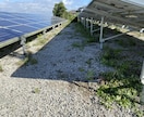 産業用太陽光発電所の除草を行います 元野立て太陽光開発担当者が行う、除草代行と点検作業です イメージ9