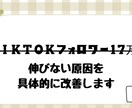 TikTokフォロワー17万人が教えます 動画を事前分析し、60分で改善点と伸びる構成を具体化します。 イメージ1