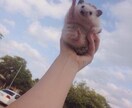 誰かに話したい愚痴やお悩みをお聞きします 気持ちを楽にしたい方、モヤモヤしている方ぜひお聞かせください イメージ3