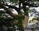 いろんなお話を丁寧に傾聴できると思います お話を聞くのが好きな方です。よろしくお願いします。 イメージ1