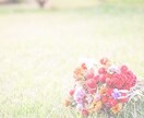 育児の悩み聞きます 育児の悩み、発達障害やグレーかどうかモヤモヤしてるあなた イメージ1