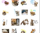LINEスタンプつくります 写真などでかわいいスタンプ作ります！手描きが得意です！ イメージ1