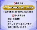 ビジネス系YouTube編集致します 解説系・セミナー系などフルテロップ動画の編集おまかせください イメージ2