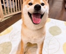雑談・相談・愚痴・話し相手になります 楽しいおしゃべりがいい？あいづちだけがいい？ イメージ2