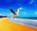 あなたの8月の運気みます 来月はどんな流れがあるのでしょう？ イメージ1